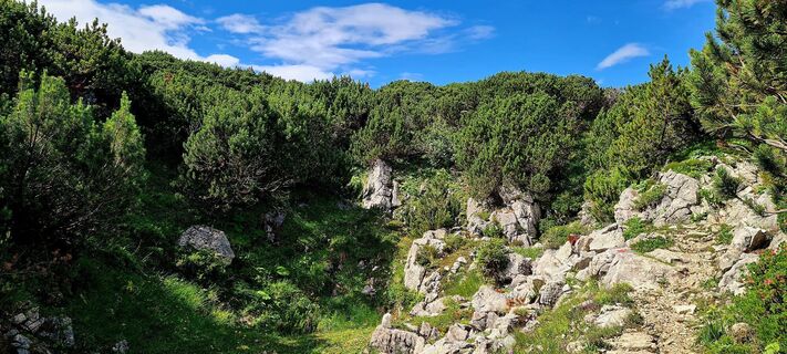 Fotografia z Petra Scherrer na trase