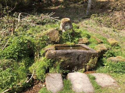 Brunnen am Weg
