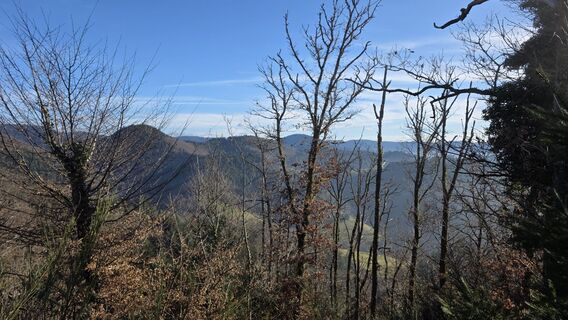 Fotografia z W B MA na trase