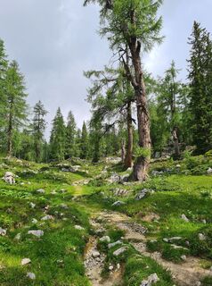 Fotografie z uhu321 na trase