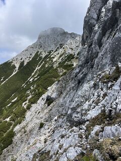 Foto von Heikoala entlang der Tour