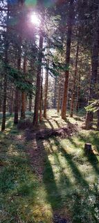 Foto von Mario Thomaschütz entlang der Tour