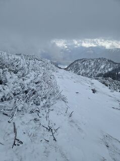 Fotografija s spletne strani MarionFeik na poti
