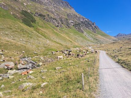 Foto von Christian Lerchster entlang der Tour