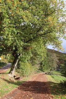 Zdjęcie z Günter Kleutsch wzdłuż trasy