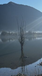 Foto de ROBERTO BONIOTTI a lo largo del recorrido