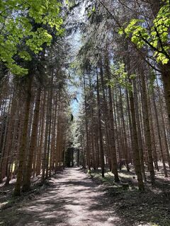 Fotografija s spletne strani NezSari na poti