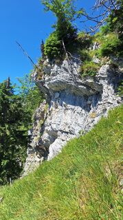 Zdjęcie z RobuC wzdłuż trasy