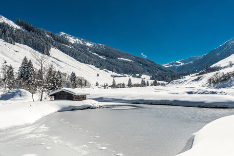 Wildschönau Auffach Schönanger Teich.jpg