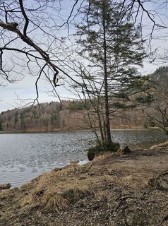 Foto von Pauline Lissek entlang der Tour