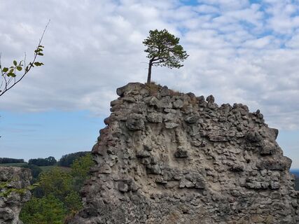 Foto von 1wandern1 entlang der Tour