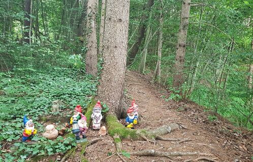 Zwergenweg im Schlosswald