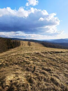 Fotografija s spletne strani Romek Dwornik na poti