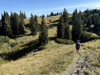 Fotografia z Natur_erleben_dg na trase