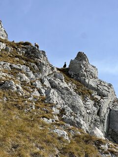Foto van Wienwanderdaz langs de tour