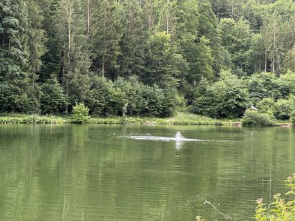 Fotografie z NorbertZ na trase
