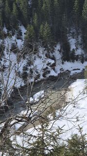 Photo de Cilli Waldhof le long du parcours