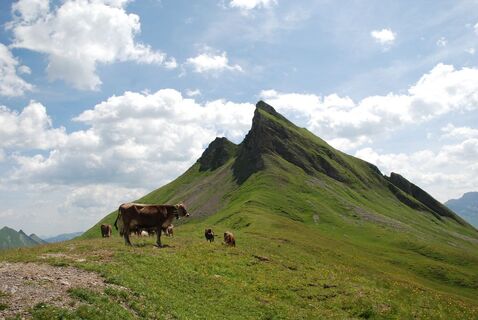 Damülser Mittagspitze