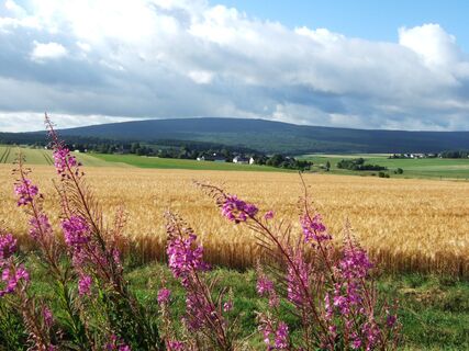 Blick auf den Idarkopf