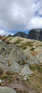 Photo de ketup le long du parcours