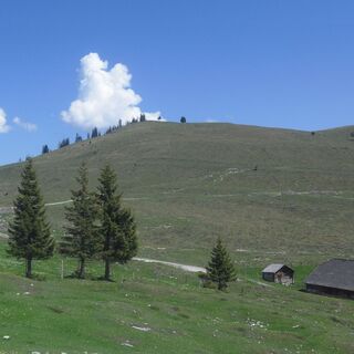 Postalm Rundweg 1