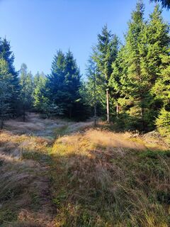 Photo de Martin Schagerl le long du parcours