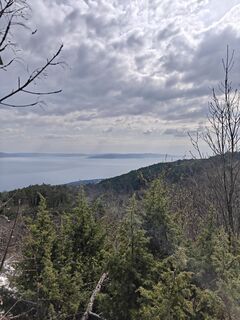 Fotografija s spletne strani Edit Szabó 1 na poti