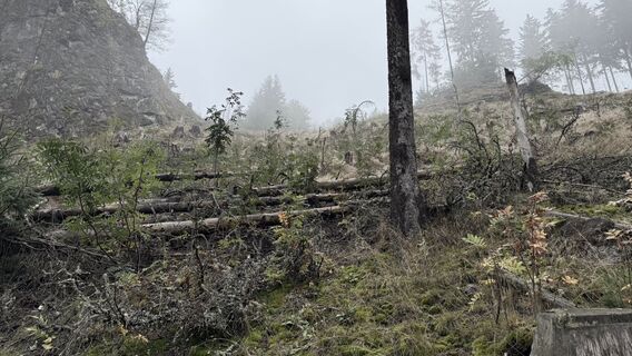 Photo de Versandkunth le long du parcours