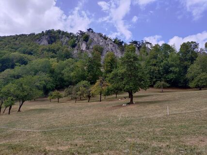 Foto de Roman a lo largo del recorrido