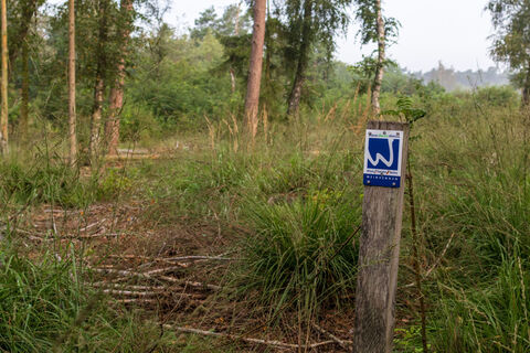 Markierungsschild an Pfosten