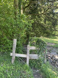 Foto von Stefan Otto entlang der Tour