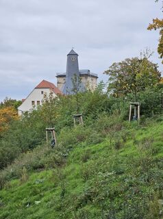 Foto från Manfred Mumme under resans gång