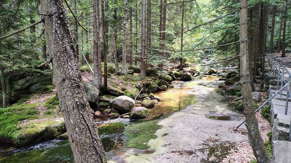 Wieściszowice, województwo dolnośląskie/Polska