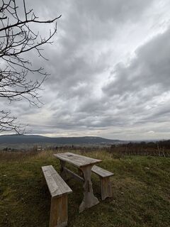 Fotografia z RS76 na trase