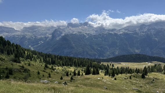 Foto de Brigitta Jencski a lo largo del recorrido