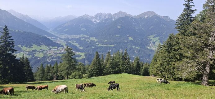 Photo de Christian Freythaler le long du parcours