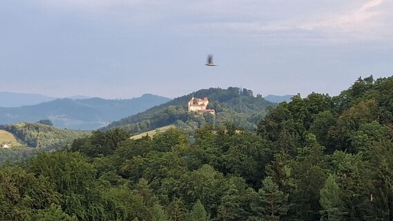 Foto von Zsolt Tovay entlang der Tour