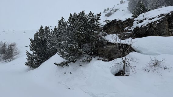 Photo de Achim Breunig le long du parcours