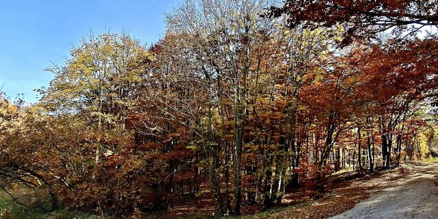 Foto fra Bob Moh underveis på turen