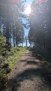 Photo de Roman Kutschera le long du parcours