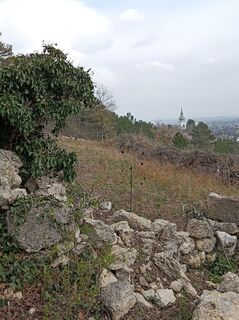 Foto von Bergpirat entlang der Tour