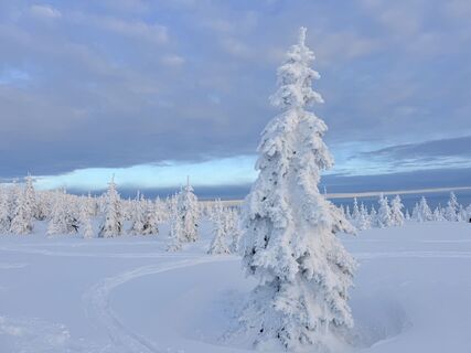 Foto von Natur_erleben_dg entlang der Tour