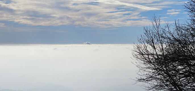 Fotografia z Nico na trase