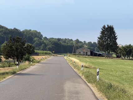 Photo de Schaali le long du parcours