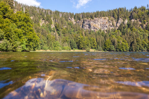 Feldsee