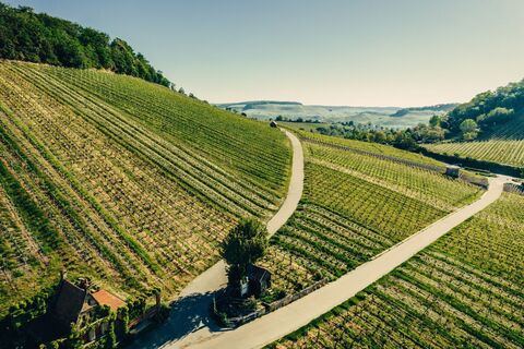 Aussicht am Wartberg ins Weinsberger Tal | Weinstadt Heilbronn | HeilbronnerLand