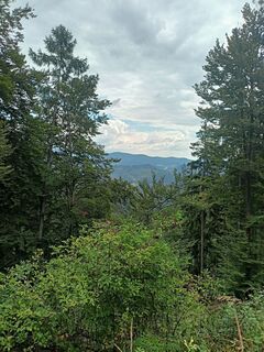 Foto de Tímea Čániová a lo largo del recorrido