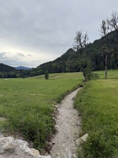 Fotografija s spletne strani Michi29 na poti