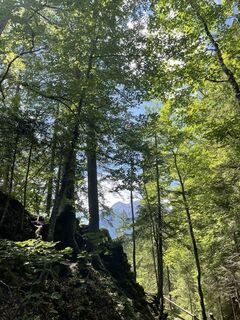 Foto von László Tivadar entlang der Tour