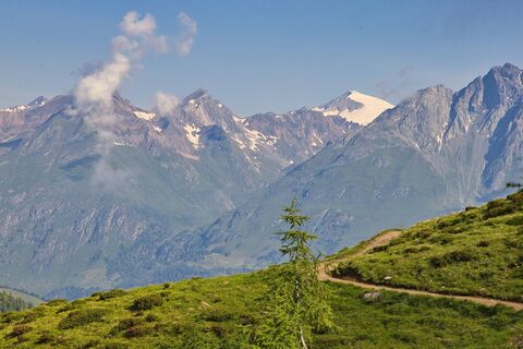 wanderung-zupalseehütte-ausblick-venediger-sommer24-c-anna-ladstaetter.jpeg